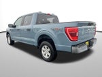 2023 F-150 Thumbnail 3