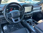2023 F-150 Thumbnail 13