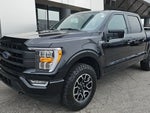 2023 F-150 Thumbnail 8