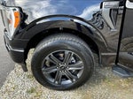 2023 F-150 Thumbnail 8