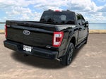 2023 F-150 Thumbnail 10