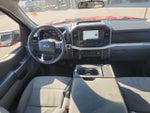2023 F-150 Thumbnail 8
