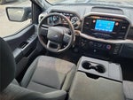 2023 F-150 Thumbnail 4