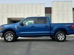 2023 F-150 Thumbnail 6