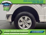 2023 F-150 Thumbnail 24