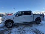 2021 F-150 Thumbnail 6