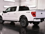 2021 F-150 Thumbnail 5