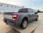 2021 F-150 Thumbnail 3