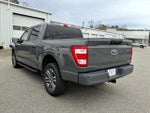 2021 F-150 Thumbnail 4