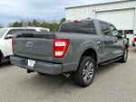 2021 F-150 Thumbnail 6