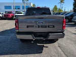 2021 F-150 Thumbnail 4
