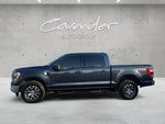 2021 F-150 Thumbnail 14