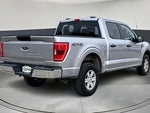 2021 F-150 Thumbnail 7