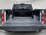 2021 F-150 Thumbnail 8