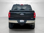 2021 F-150 Thumbnail 4