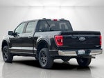 2021 F-150 Thumbnail 5
