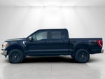 2021 F-150 Thumbnail 6