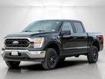 2021 F-150 Thumbnail 7