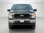 2021 F-150 Thumbnail 8