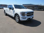 2021 F-150 Thumbnail 4