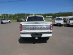 2021 F-150 Thumbnail 7