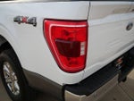 2021 F-150 Thumbnail 13