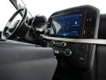 2021 F-150 Thumbnail 19