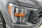 2021 F-150 Thumbnail 11