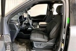 2021 F-150 Thumbnail 14