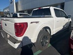 2021 F-150 Thumbnail 3