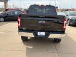 2021 F-150 Thumbnail 5