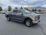 2021 F-150 Thumbnail 7