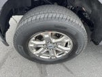 2021 F-150 Thumbnail 10
