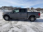 2021 F-150 Thumbnail 2