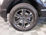 2021 F-150 Thumbnail 19