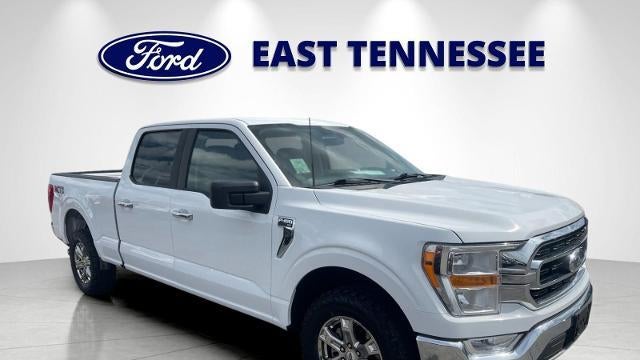 Preowned 2021 Ford F-150 Platinum for Sale