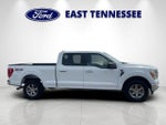 2021 F-150 Thumbnail 2
