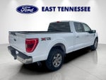 2021 F-150 Thumbnail 3