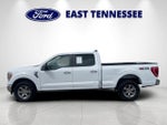 2021 F-150 Thumbnail 6