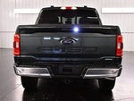 2021 F-150 Thumbnail 6