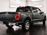 2021 F-150 Thumbnail 7