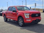 2021 F-150 Thumbnail 5