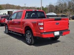 2021 F-150 Thumbnail 13