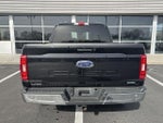 2021 F-150 Thumbnail 7