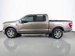 2021 F-150 Thumbnail 15