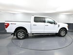 2021 F-150 Thumbnail 4