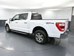 2021 F-150 Thumbnail 9