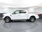 2021 F-150 Thumbnail 11