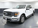 2021 F-150 Thumbnail 12