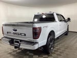 2021 F-150 Thumbnail 2